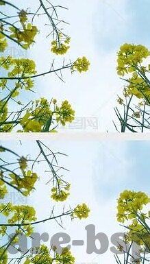 九游门户在哪里下载-手游乐园新探索，九游门户下载指南