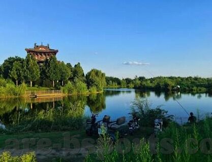足球 单场 比分-足球单场比分背后的玄机，数据、战术与运气的交织